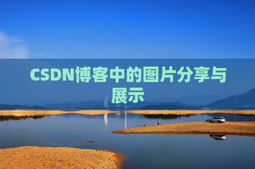 CSDN博客中的图片分享与展示