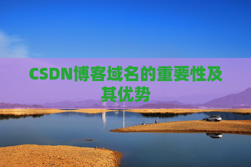 CSDN博客域名的重要性及其优势